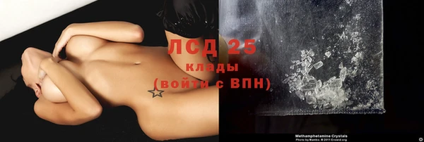 ГАЛЛЮЦИНОГЕННЫЕ ГРИБЫ Приозерск